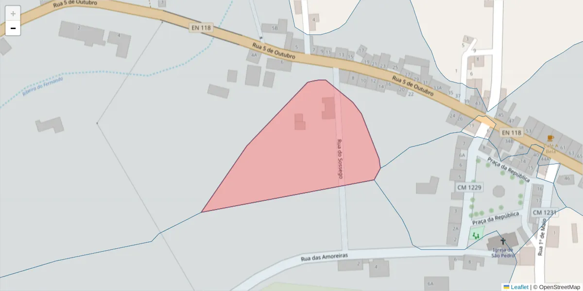 Mapa detalhado do código postal 2205-113 com limites, códigos postais vizinhos e agências dos correios