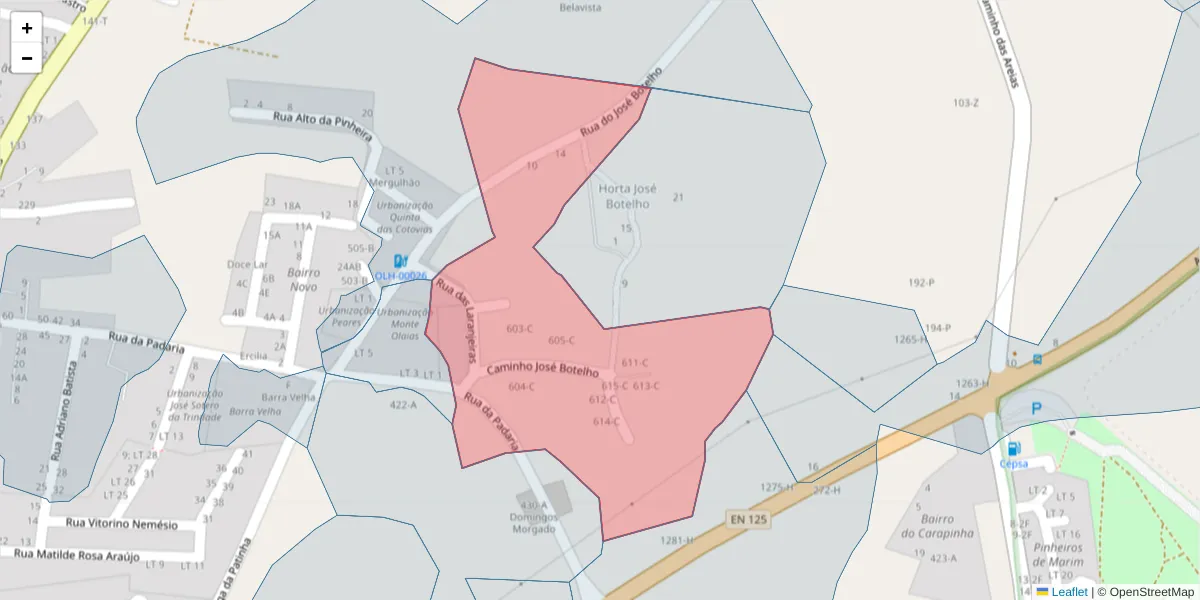 Mapa detalhado do código postal 8700-211 com limites, códigos postais vizinhos e agências dos correios